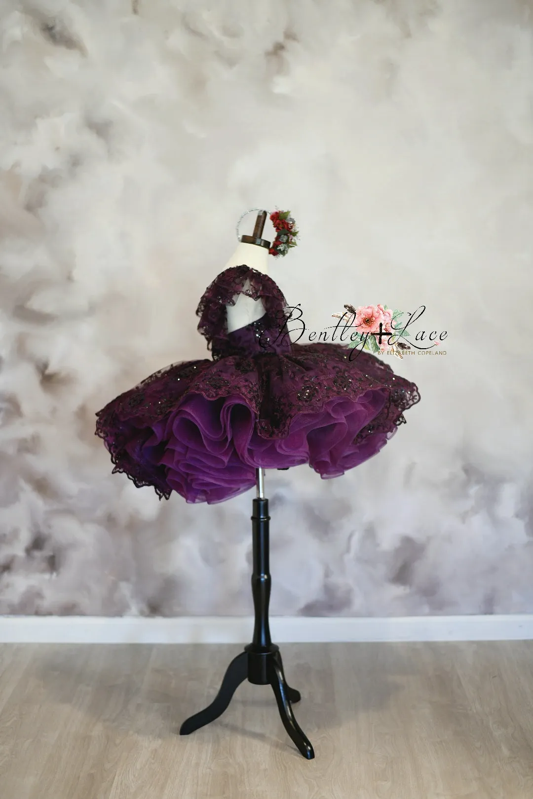Euc "Evangeline" -  Petal Length ( 3 Year - Petite 4 Year)