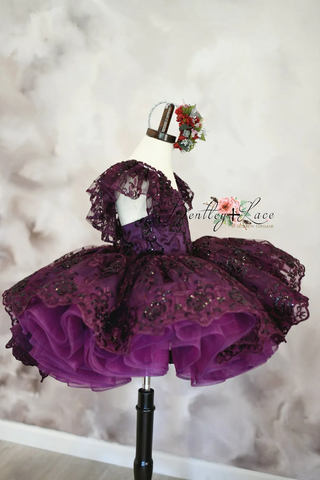 Euc "Evangeline" -  Petal Length ( 3 Year - Petite 4 Year)