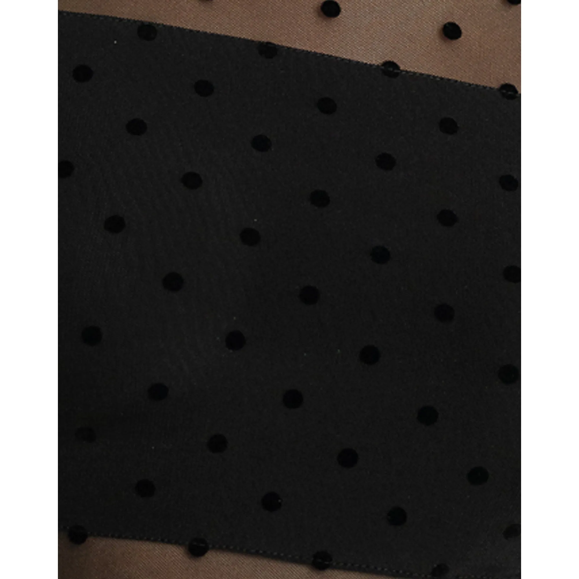 High Neck Sheer Polkadot Long Sleeve Bodysuit