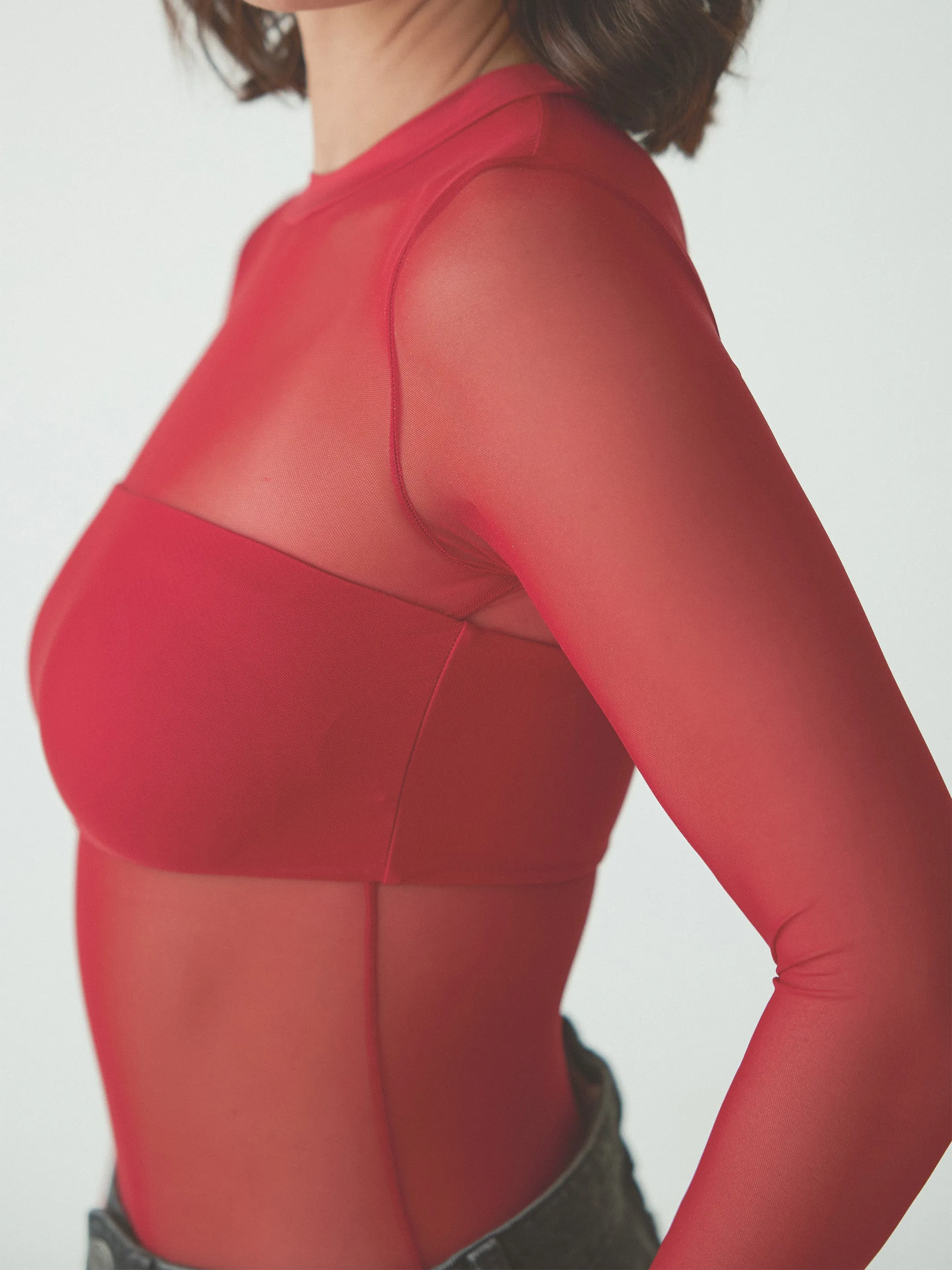 Mesh Bandeau Long Sleeve Bramisuit
