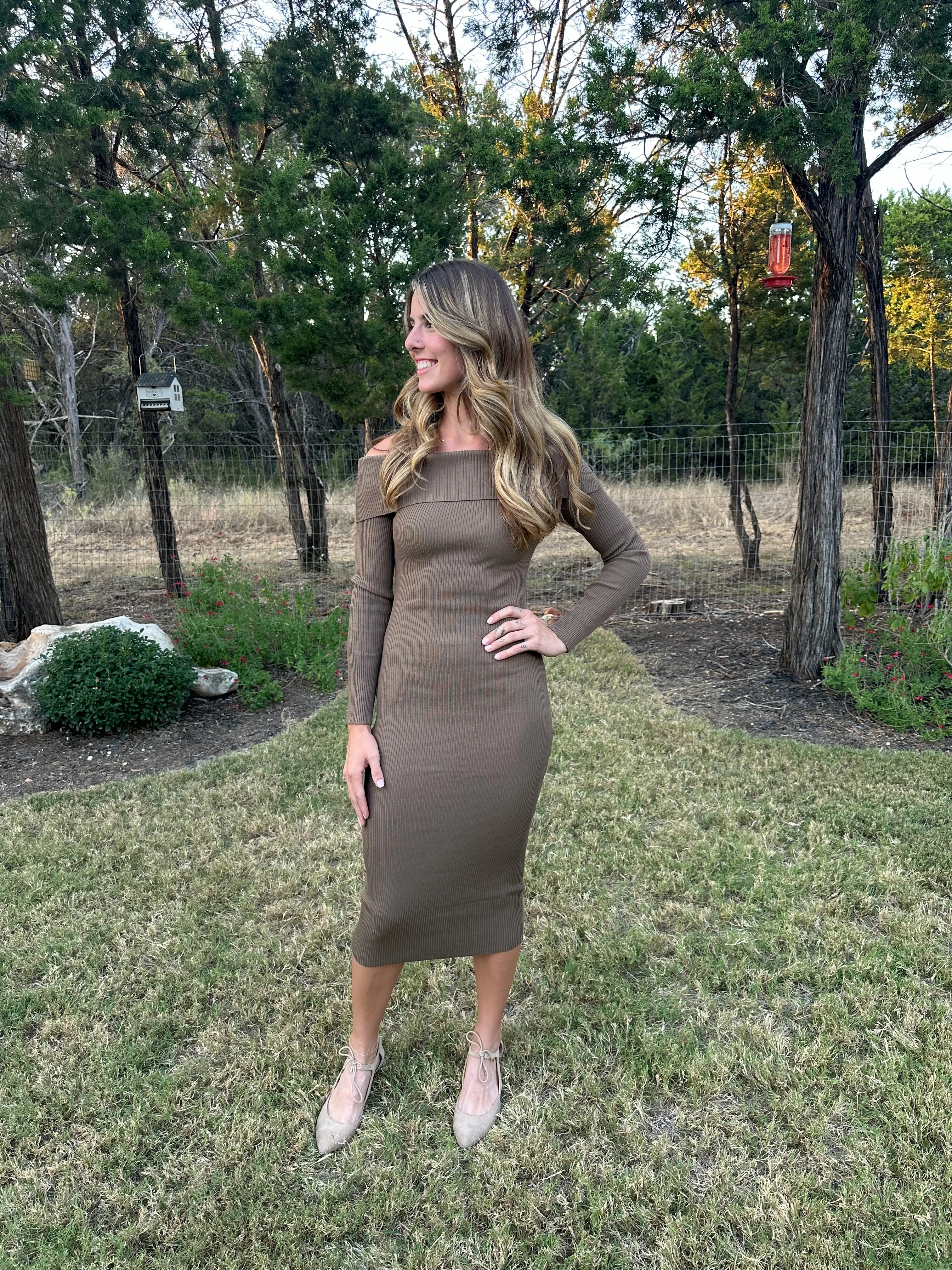 Off The Shoulder Fitted Dress - Brown