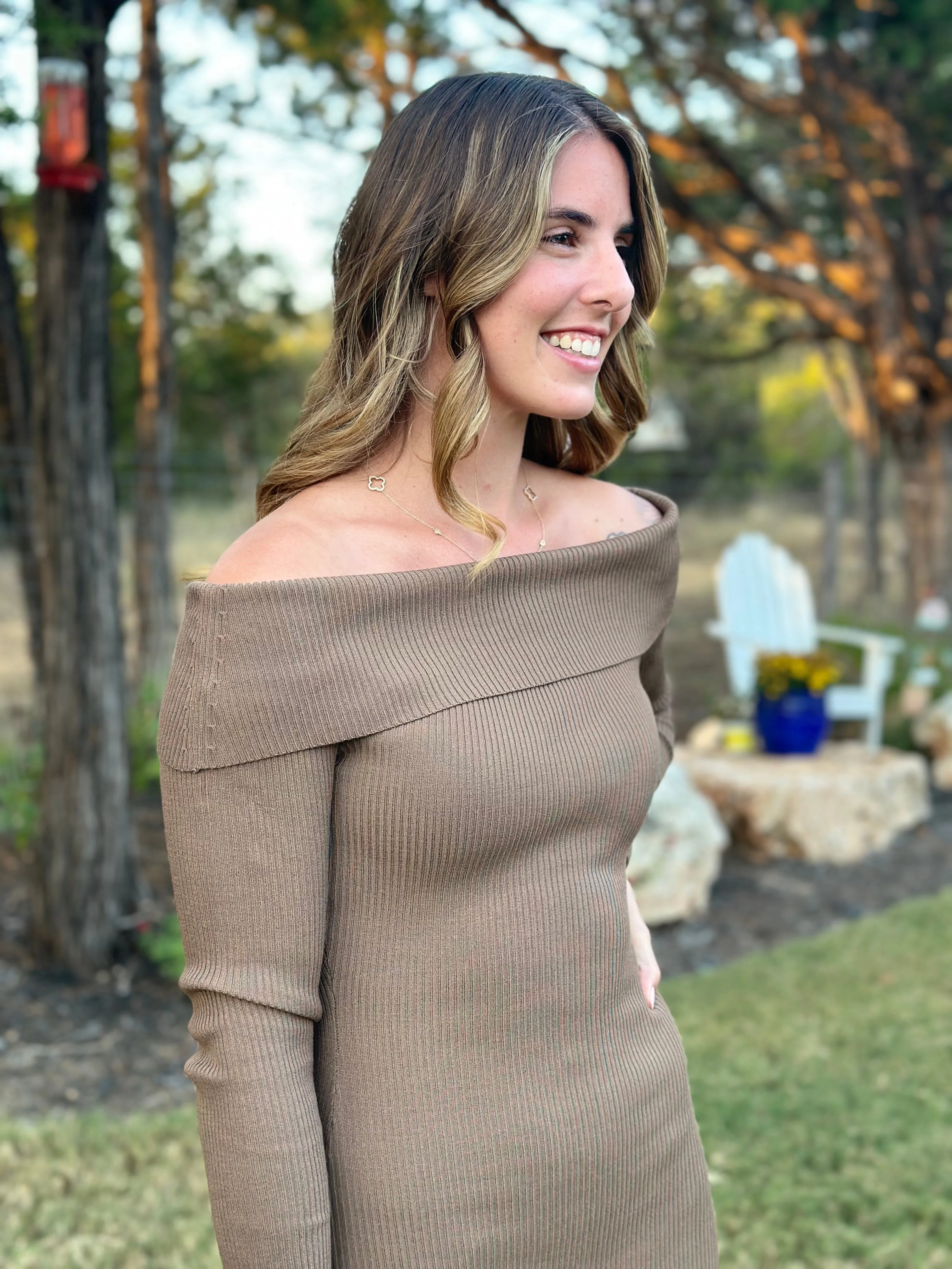 Off The Shoulder Fitted Dress - Brown