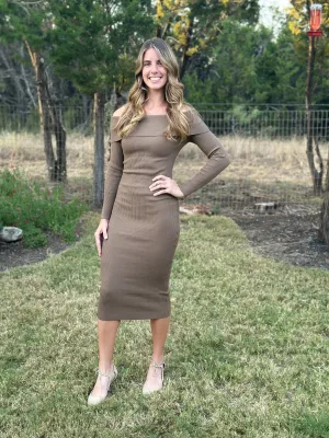 Off The Shoulder Fitted Dress - Brown