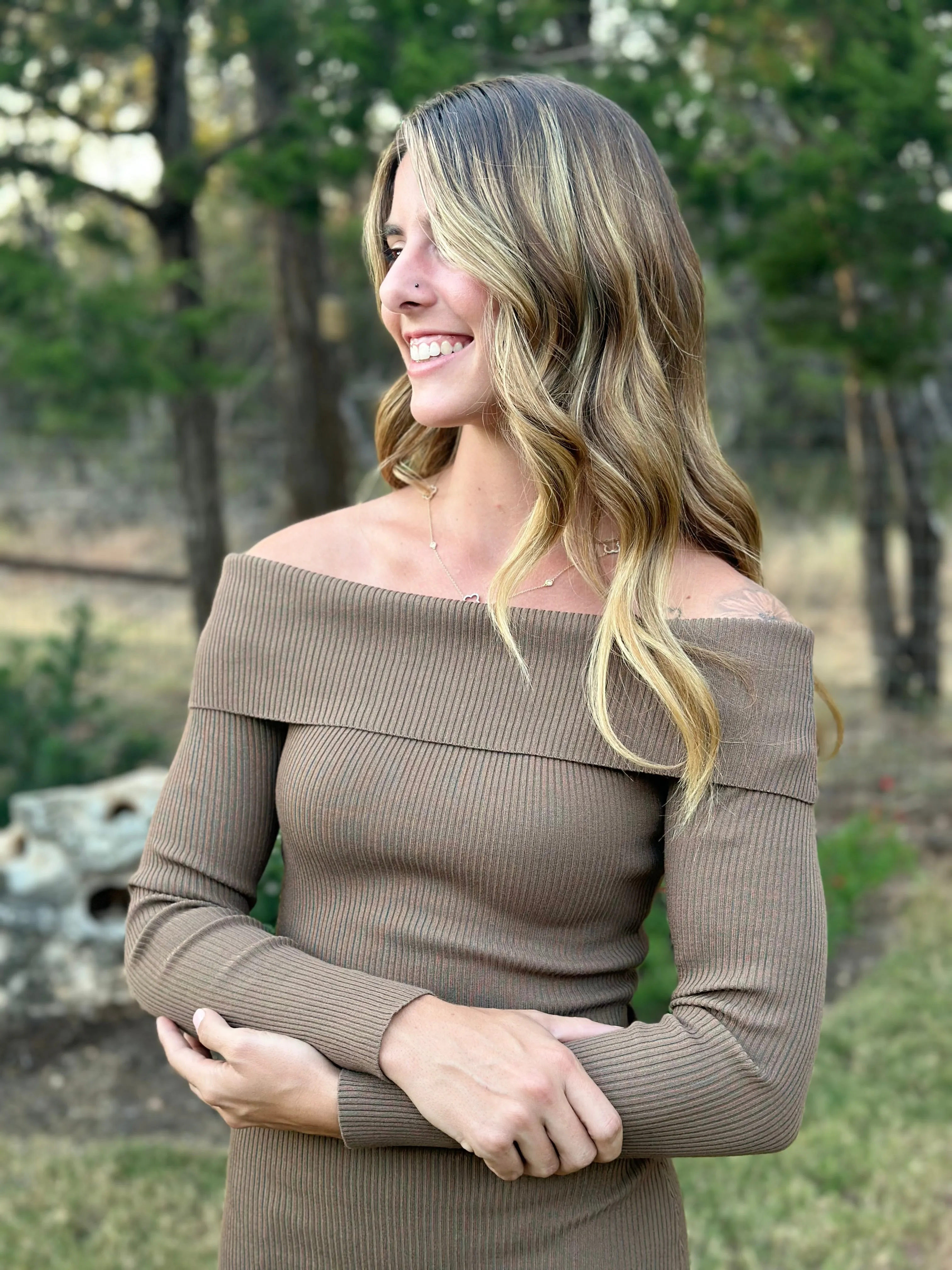Off The Shoulder Fitted Dress - Brown