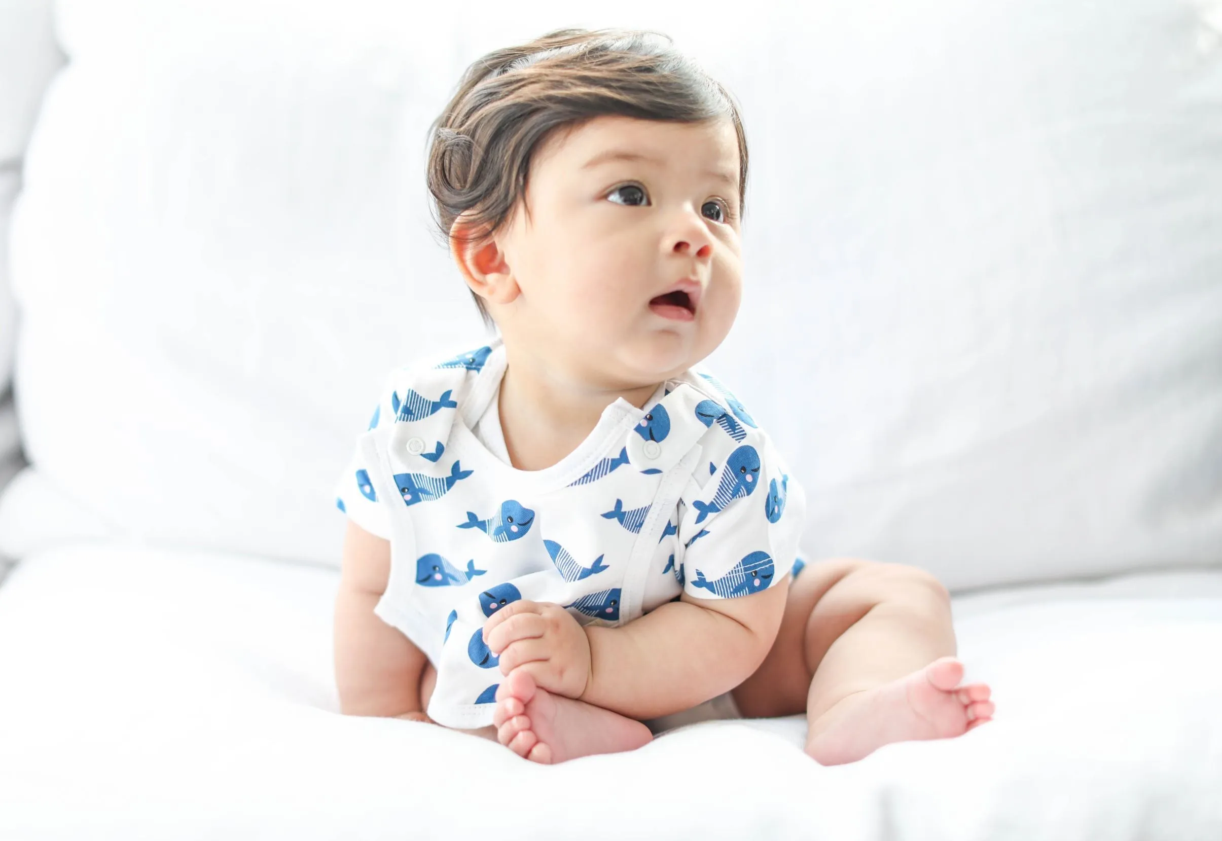 Smart Short Sleeve Bodysuit   Bib - Blue Whale
