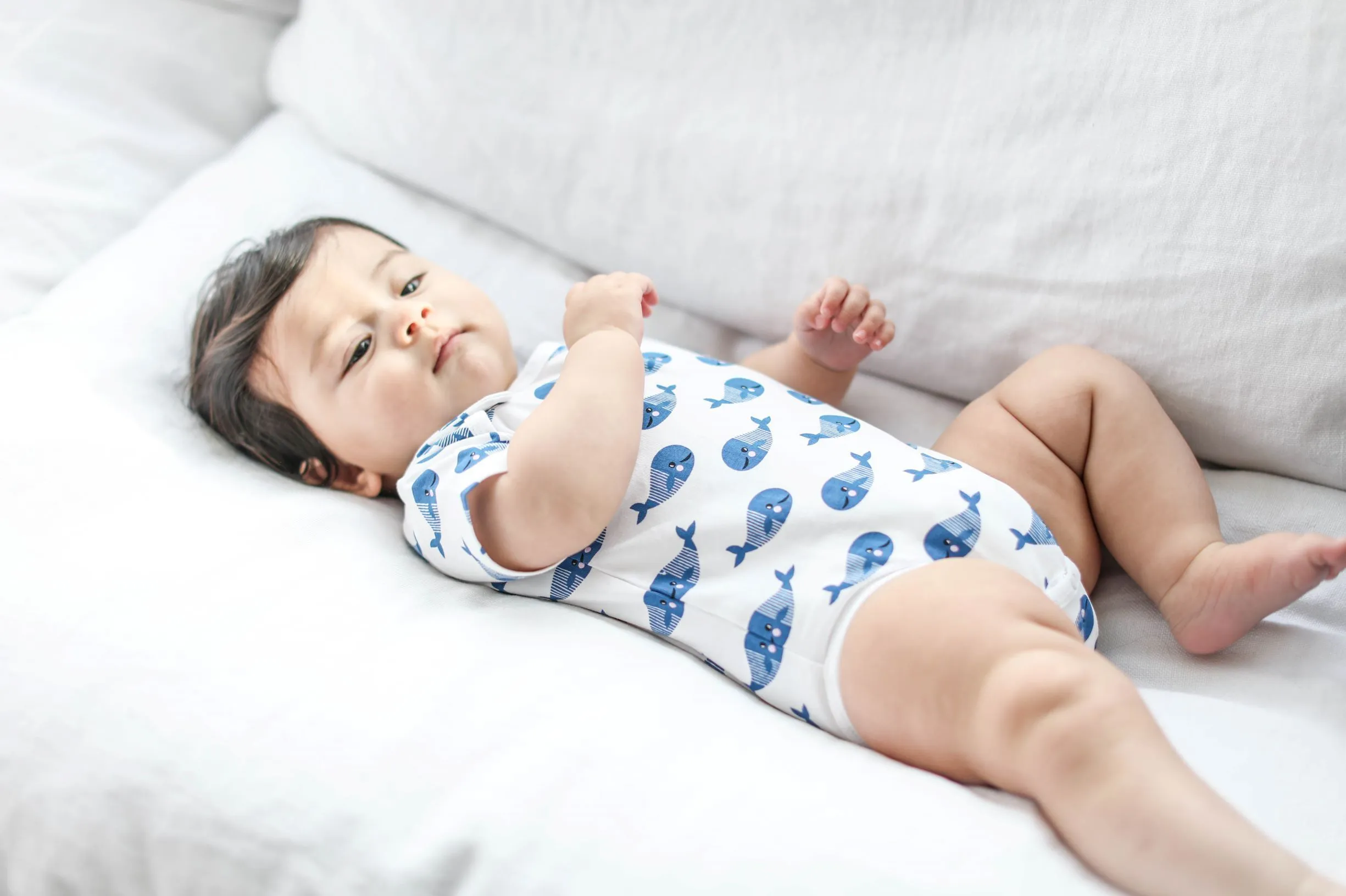 Smart Short Sleeve Bodysuit   Bib - Blue Whale